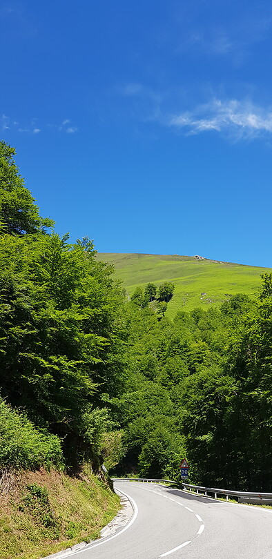 Afdaling na Roncesvalles