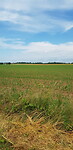 Nanteuil en Vallee