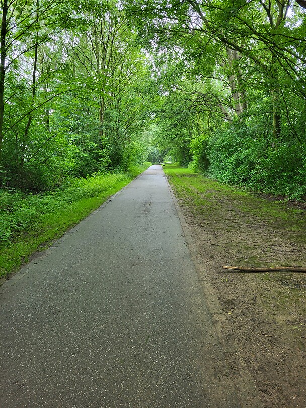 Vennbahn zonder rails