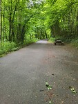 De groene weg in Luxemburg