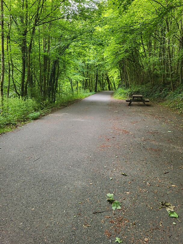 De groene weg in Luxemburg