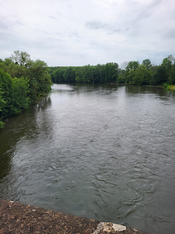 Saône