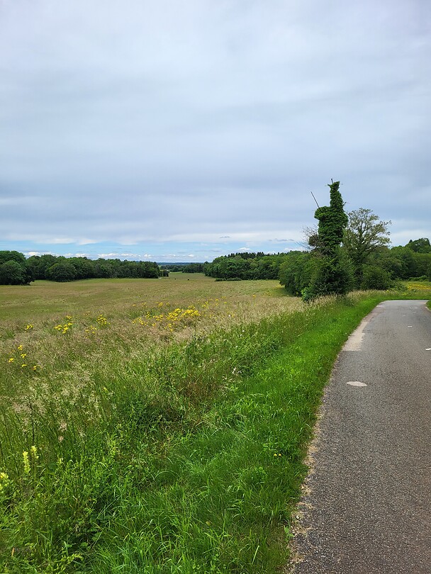 De Jura