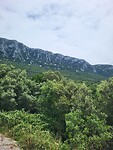 Pic Saint Loup