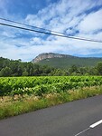 Pic Saint Loup