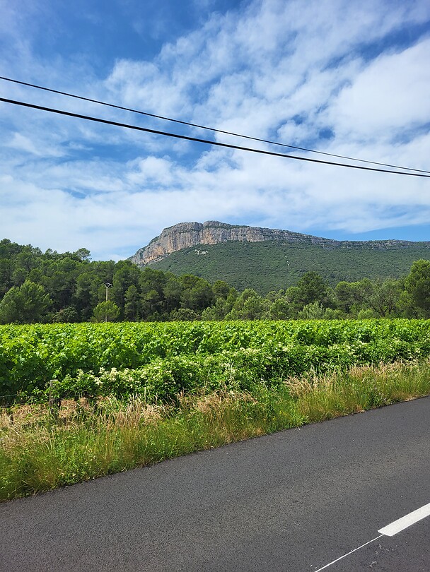 Pic Saint Loup
