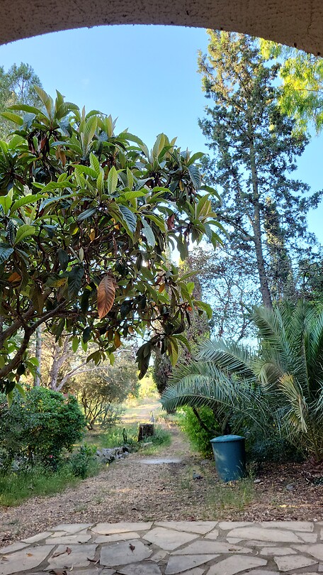 Terras B&B