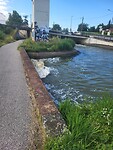 Schuimvorming