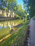Canal du Midi in Toulouse
