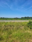 Landbouw