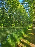 50 tinten groen