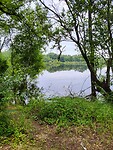 Doorkijk op water