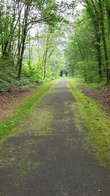 Piste Cyclable