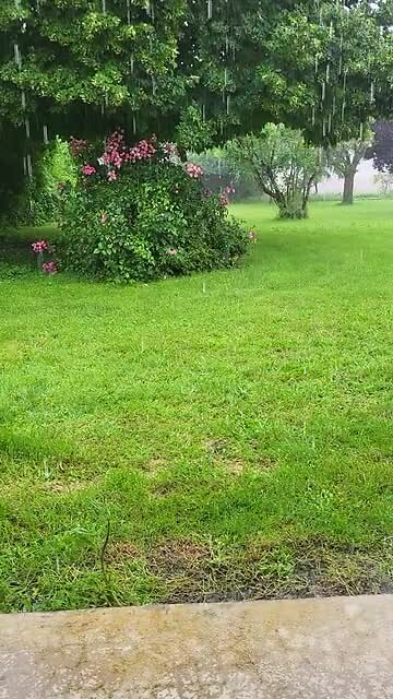 Regen en onweer