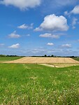 Sainte Maure de tourraine