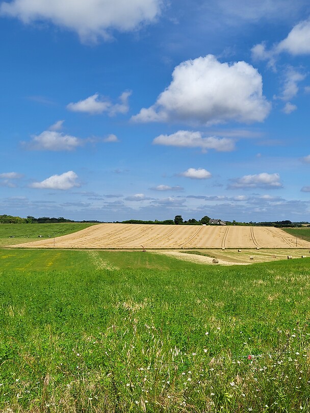 Sainte Maure de tourraine