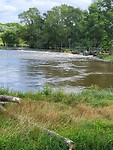 Wild waterbaan