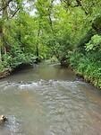 La Brenne