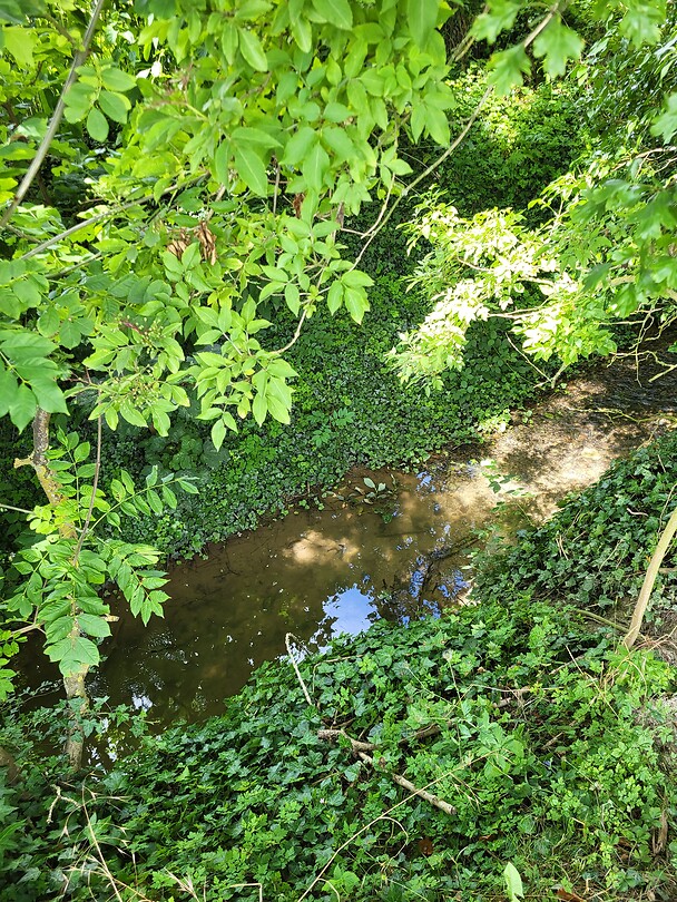 Bron van de Schelde