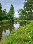 Dender bij Ninove