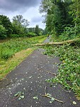 Stormschade