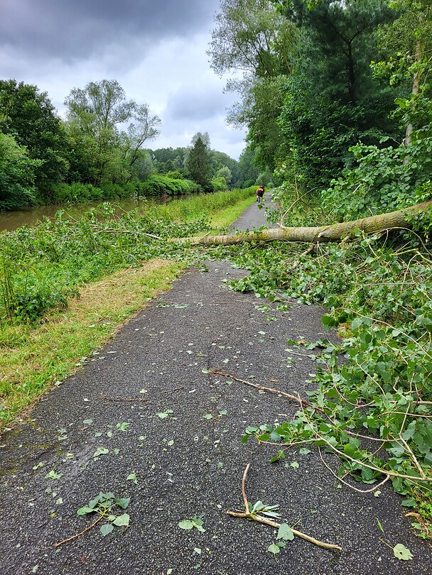 Stormschade