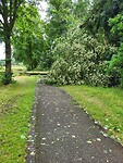 Stormschade