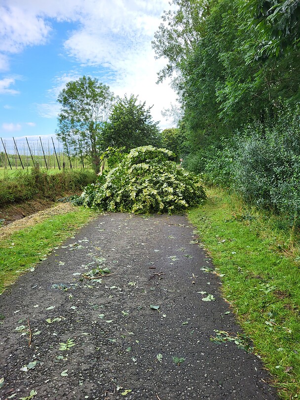 Stormschade
