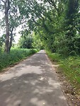 Fietspad Breda