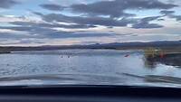 IMG_9145