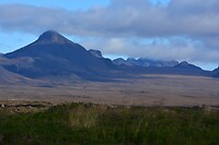 DSC_0454