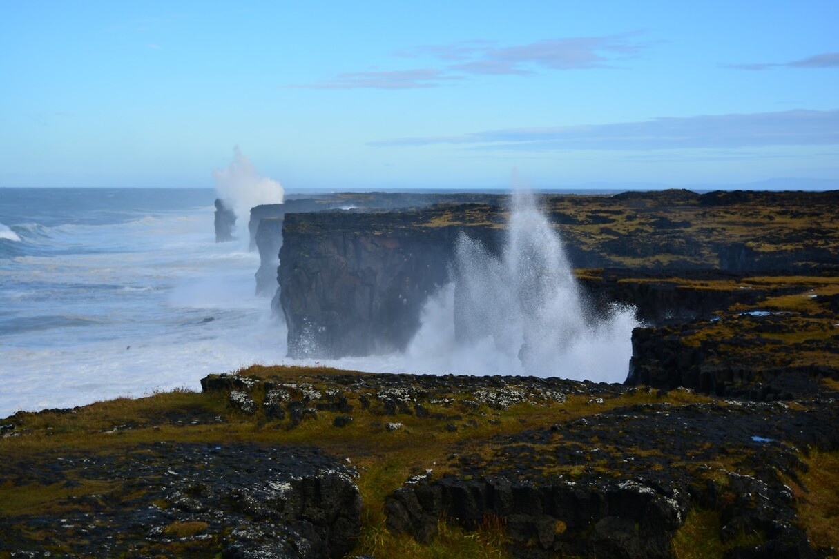 DSC_0521