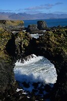 DSC_0629