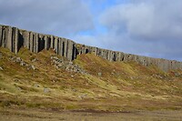 DSC_0643