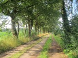 Vaarwel Vorden