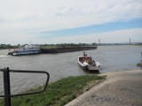 Pontje over de Rijn, bij Rees.