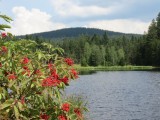Mooi bergmeer