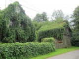 Wingerd en woning