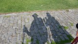 Shadows