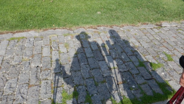 Shadows