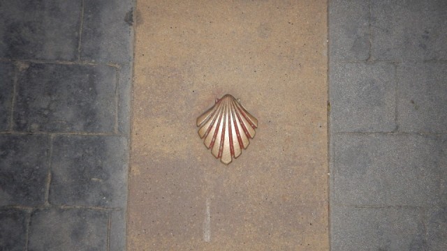 Wegwijzer 2