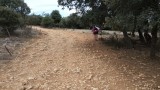 weg