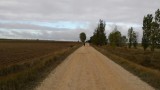 17km