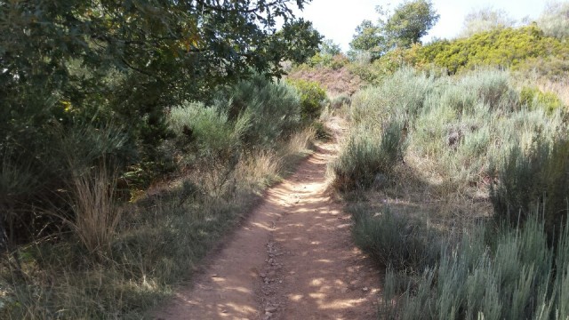 Weg