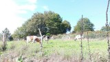 Onderweg