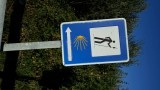Pijl