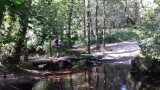 Oversteek