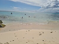 De 3 snorkelaars