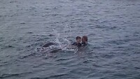 Spetteren