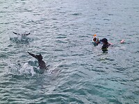 Met snorkel, de dolfijnen op hun kop zien hangen!